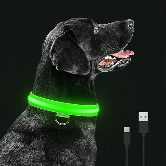 Radiant Paws: Rechargeable LED Dog Collar for Nighttime Visibility