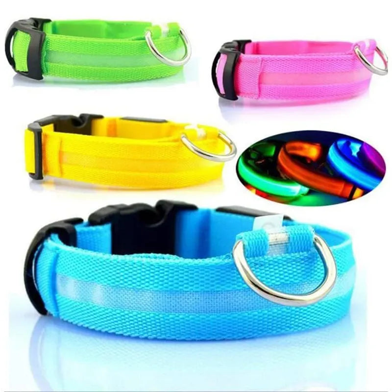 Radiant Paws: Rechargeable LED Dog Collar for Nighttime Visibility