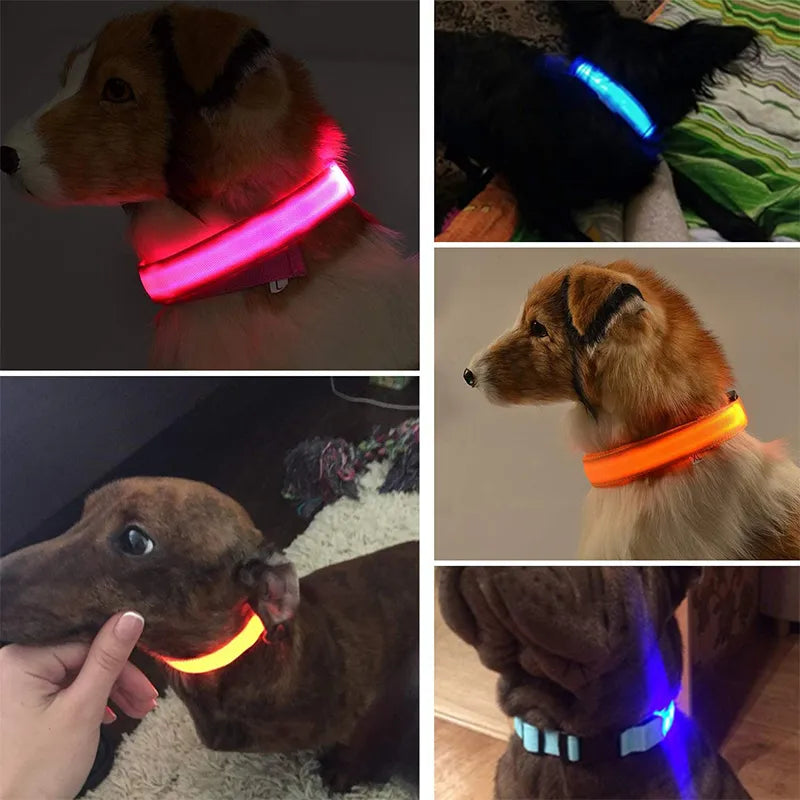 Radiant Paws: Rechargeable LED Dog Collar for Nighttime Visibility